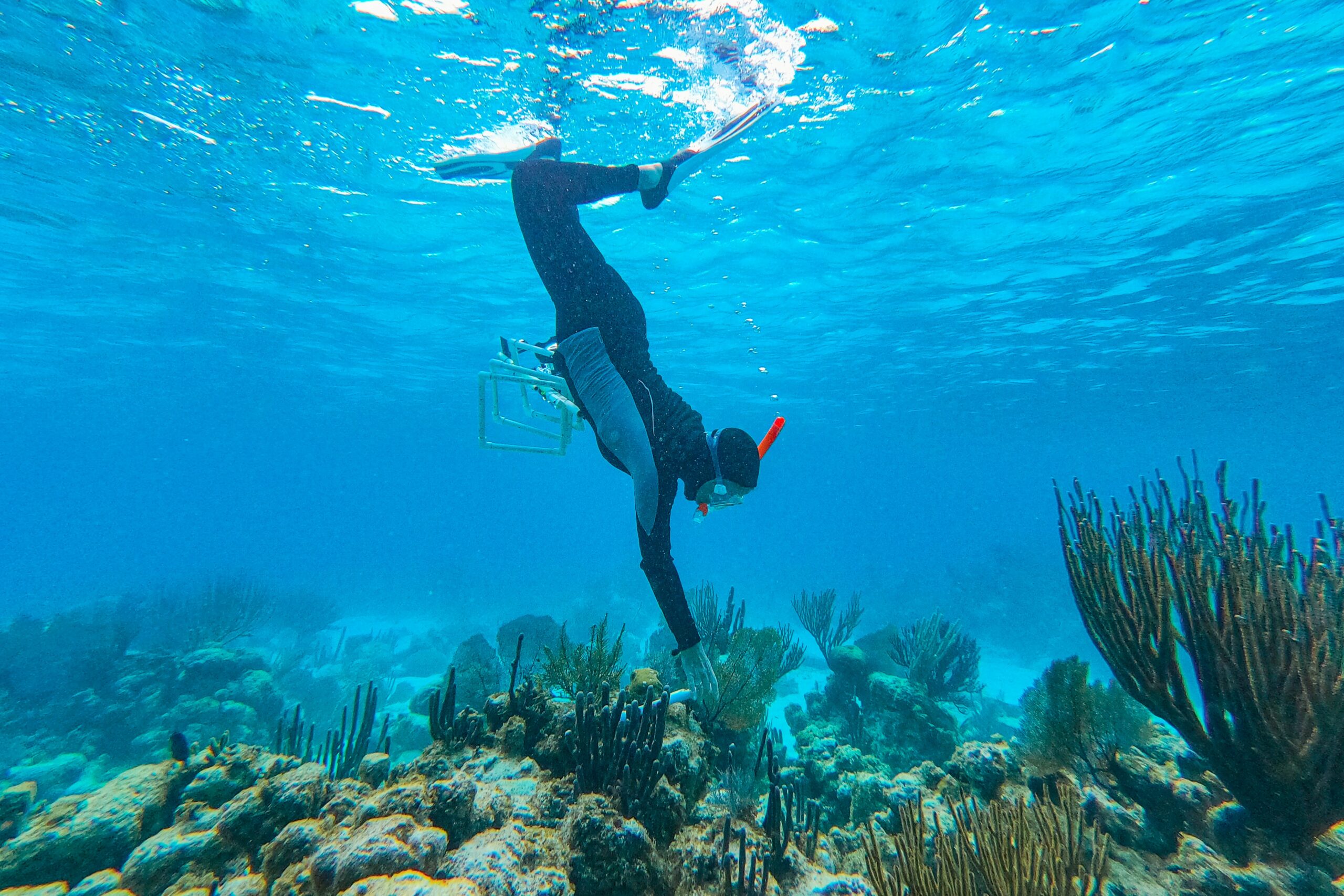 Belize Barrier Reef