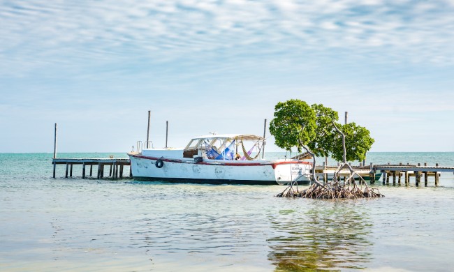 Docked boat in Belize